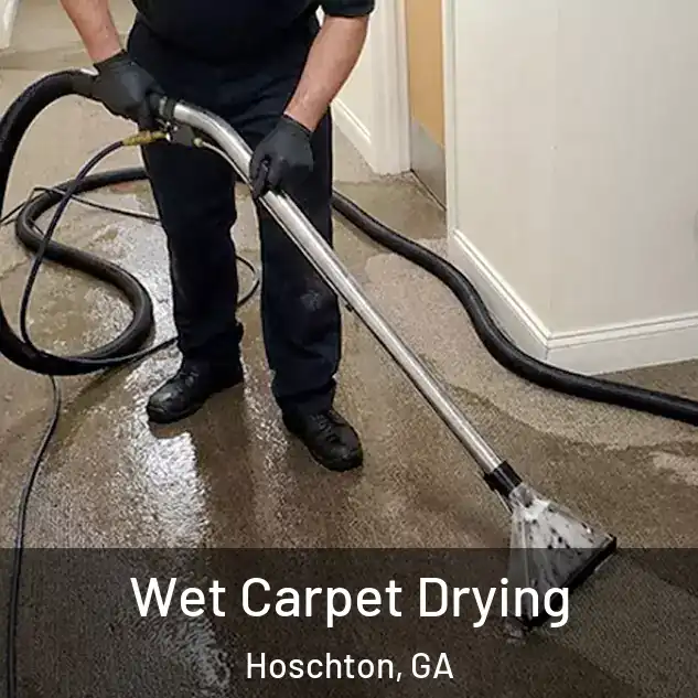  Wet Carpet Drying Hoschton, GA