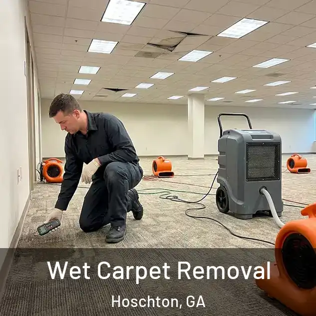  Wet Carpet Removal Hoschton, GA